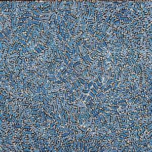 Warlukurlangu Jukurrpa (Fire country Dreaming) by Nathania Nangala Granites