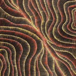 Wanakiji Jukurrpa (Bush Tomato Dreaming) by Debbie Napaljarri Brown