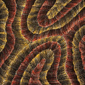 Wanakiji Jukurrpa (Bush Tomato Dreaming) by Debbie Napaljarri Brown