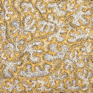 Mina Mina Jukurrpa (Mina Mina Dreaming) by Valda Napangardi Granites