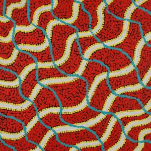 Warna Jukurrpa (Snake Dreaming) by Danilda Nakamarra White