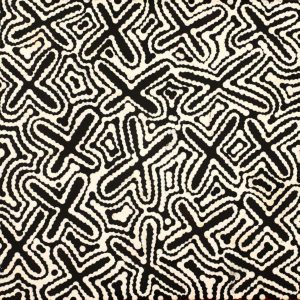 Ngatijirri Jukurrpa (Budgerigar Dreaming) by Kenneth Jungarrayi Martin