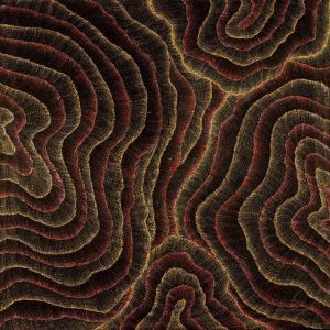Wanakiji Jukurrpa (Bush Tomato Dreaming) by Debbie Napaljarri Brown