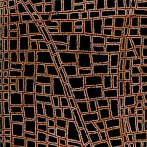 Ngapa Jukurrpa (Water Dreaming)  -  Puyurru by Delores Nangala Robertson