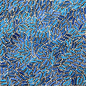 Warlukurlangu Jukurrpa (Fire country Dreaming) by Nathania Nangala Granites