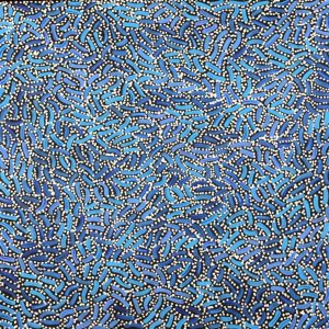 Warlukurlangu Jukurrpa (Fire country Dreaming) by Nathania Nangala Granites