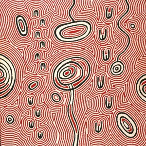 Janganpa Jukurrpa (Brush-tail Possum Dreaming)- Mawurrji by Janelle Napurrurla Wilson