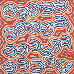 Ngapa Jukurrpa (Water Dreaming)  -  Puyurru by Diandra Nangala Dixon