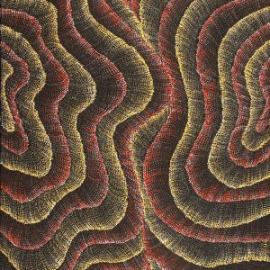 Wanakiji Jukurrpa (Bush Tomato Dreaming) by Debbie Napaljarri Brown