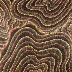 Wanakiji Jukurrpa (Bush Tomato Dreaming) by Debbie Napaljarri Brown