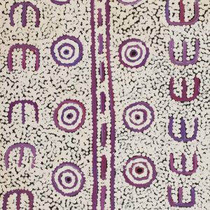 Janganpa Jukurrpa (Brush-tail Possum Dreaming)-  Mawurrji by Bethany Nakamarra Langdon