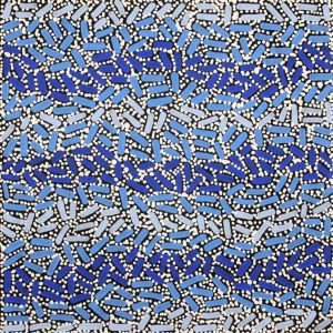 Warlukurlangu Jukurrpa (Fire country Dreaming) by Nathania Nangala Granites