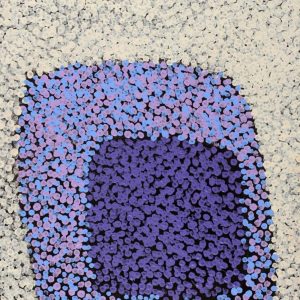 Wardapi Jukurrpa (Goanna Dreaming) - Yarripilangu by Ruth Nungarrayi Spencer