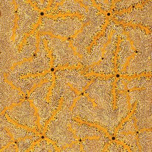 Ngurlu Jukurrpa (Native Seed Dreaming) by Geraldine Napurrurla Langdon