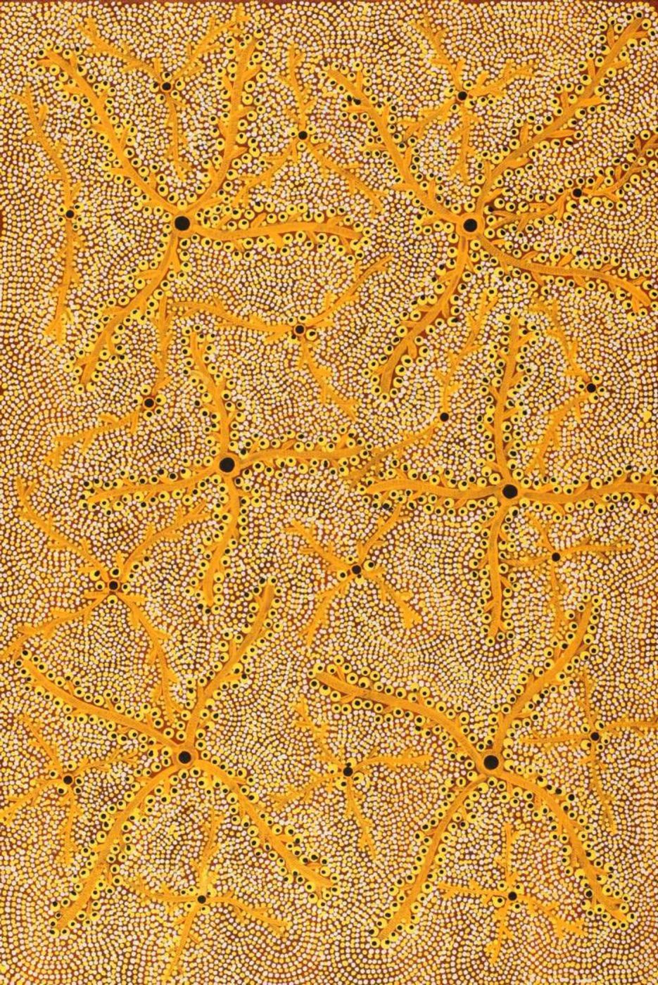 Ngurlu Jukurrpa (Native Seed Dreaming) by Geraldine Napurrurla Langdon