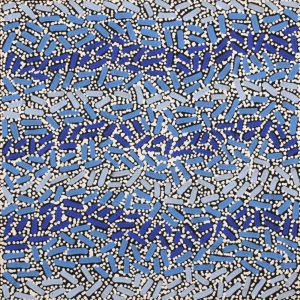 Warlukurlangu Jukurrpa (Fire country Dreaming) by Nathania Nangala Granites