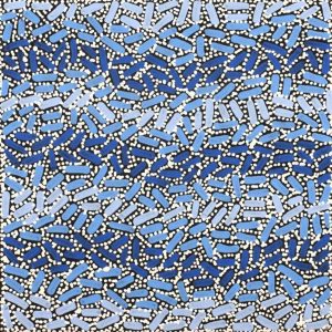 Warlukurlangu Jukurrpa (Fire country Dreaming) by Nathania Nangala Granites