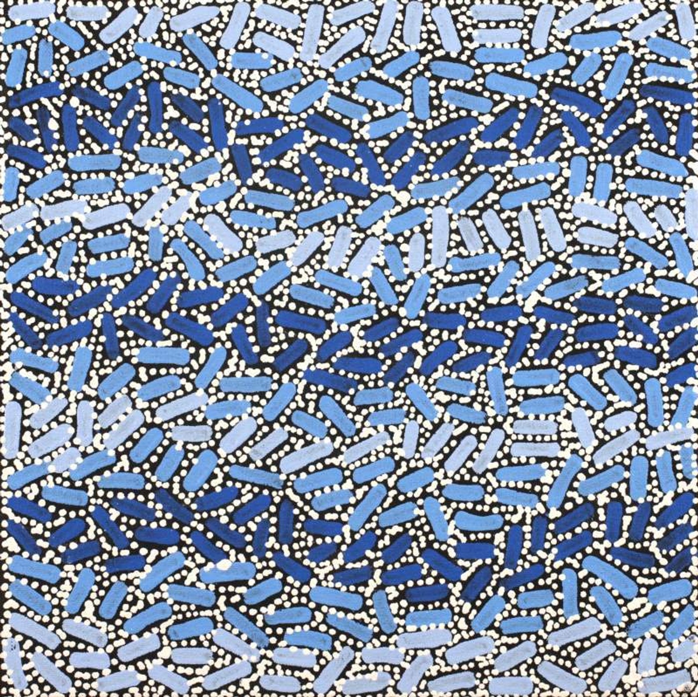Warlukurlangu Jukurrpa (Fire country Dreaming) by Nathania Nangala Granites