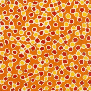 Mina Mina Jukurrpa (Mina Mina Dreaming) by Antoinette Napanangka Brown