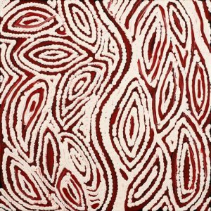 Ngapa Jukurrpa (Water Dreaming)  -  Puyurru by Agnes Nampijinpa Fry