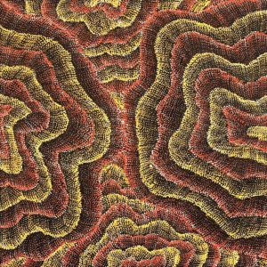 Wanakiji Jukurrpa (Bush Tomato Dreaming) by Debbie Napaljarri Brown