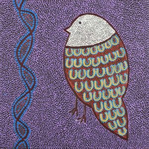 Ngalyipi Jukurrpa (Snakevine Dreaming) - Mina Mina by Geraldine Napangardi Granites