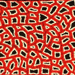 Ngapa Jukurrpa (Water Dreaming) - Puyurru by Delores Nangala Robertson