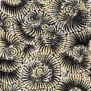 Pamapardu Jukurrpa (Flying Ant Dreaming) - Warntungurru by Maria Nampijinpa Brown