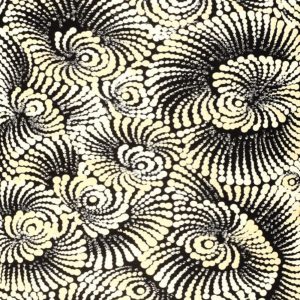 Pamapardu Jukurrpa (Flying Ant Dreaming)  - Warntungurru by Maria Nampijinpa Brown