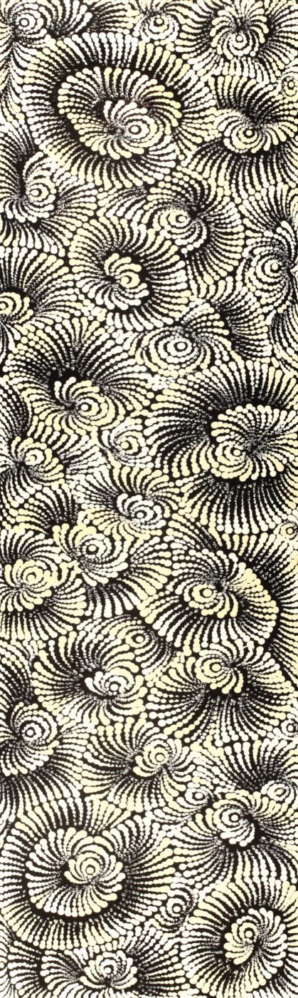 Pamapardu Jukurrpa (Flying Ant Dreaming) - Warntungurru by Maria Nampijinpa Brown