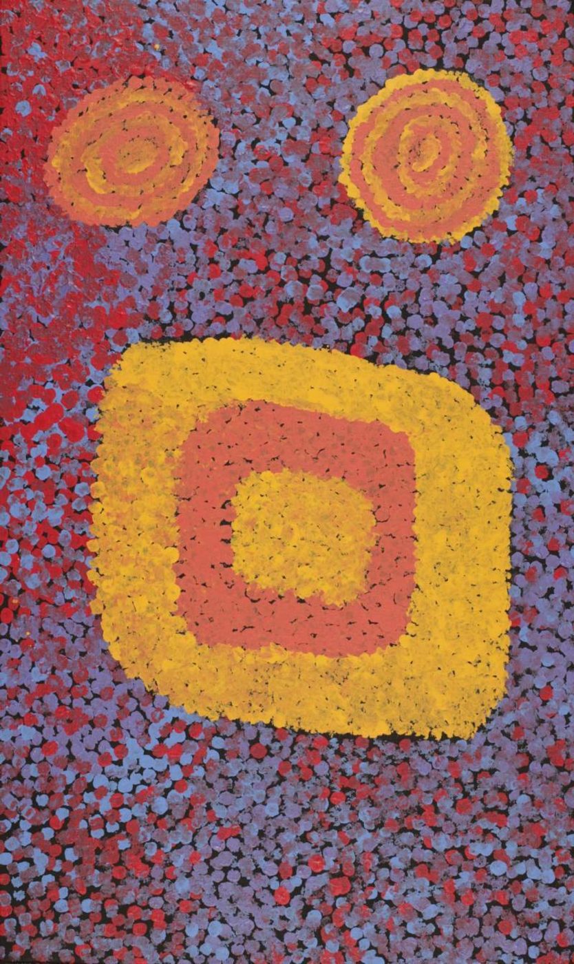 Wardapi Jukurrpa (Goanna Dreaming) - Yarripilangu by Ruth Nungarrayi Spencer