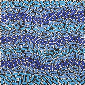 Warlukurlangu Jukurrpa (Fire country Dreaming) by Nathania Nangala Granites