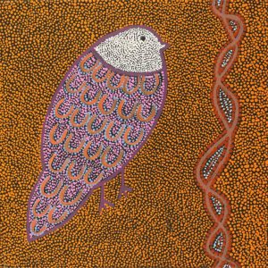 Ngalyipi Jukurrpa (Snakevine Dreaming) - Mina Mina by Geraldine Napangardi Granites by Geraldine Napangardi Granites