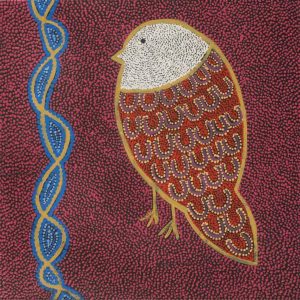 Ngalyipi Jukurrpa (Snakevine Dreaming) - Mina Mina by Geraldine Napangardi Granites by Geraldine Napangardi Granites