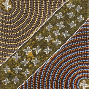Ngatijirri Jukurrpa (Budgerigar Dreaming) by Wendy Napaljarri Kitson