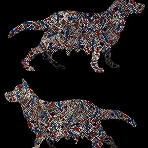 Mitching by Warlukurlangu Artists