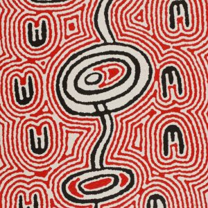 Janganpa Jukurrpa (Brush-tail Possum Dreaming)- Mawurrji by Janelle Napurrurla Wilson