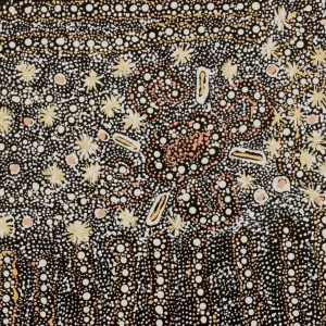 Lukarrara Jukurrpa (Desert Fringe-rush Seed Dreaming) by Hilda Nakamarra Rogers