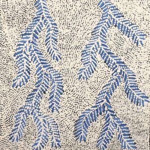 Karnta Jukurrpa (Women's Dreaming) - Bush Medicine by Patricia Nakamarra Oldfield