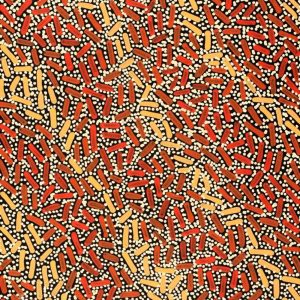 Warlukurlangu Jukurrpa (Fire country Dreaming) by Nathania Nangala Granites