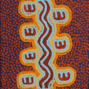 Janganpa Jukurrpa (Brush-tail Possum Dreaming)-  Mawurrji by Warlukurlangu Artists