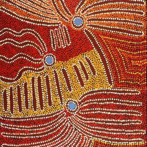 Pirlarla Jukurrpa (Dogwood Tree Bean Dreaming) by Stephen Jakamarra Walker
