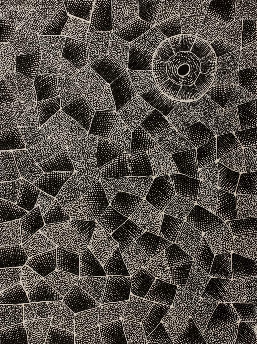 Ngalyarrpa manu Puluku Jukurrpa (Sandhill and Bullock Dreaming) by Corinne Nampijinpa Ryan