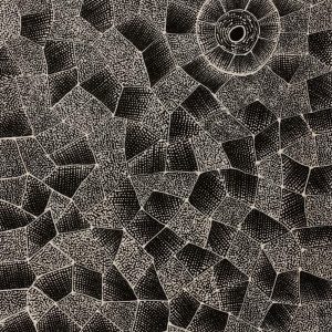 Ngalyarrpa manu Puluku Jukurrpa (Sandhill and Bullock Dreaming) by Corinne Nampijinpa Ryan