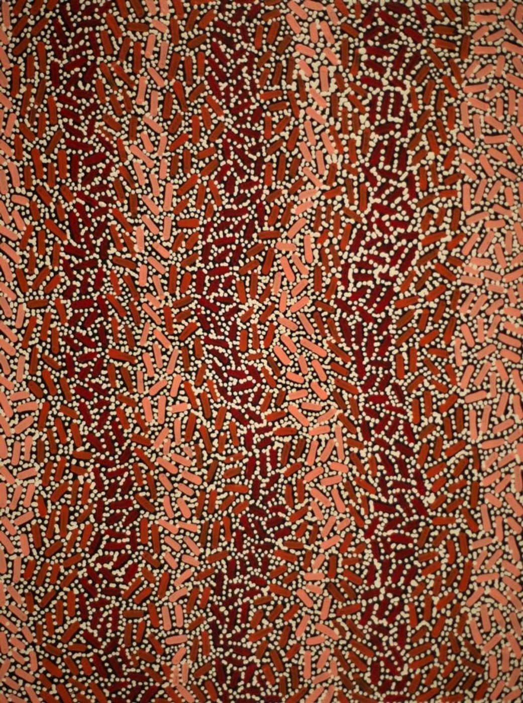 Warlukurlangu Jukurrpa (Fire country Dreaming) by Nathania Nangala Granites