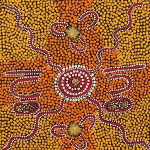 Ngapa Jukurrpa (Water Dreaming)  -  Puyurru by Marjorie Nampijinpa Brown