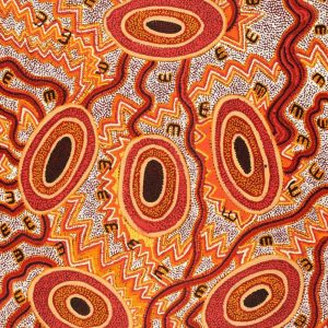 Janganpa Jukurrpa (Brush-tail Possum Dreaming)-  Mawurrji by Ritasha Nampijinpa Martin