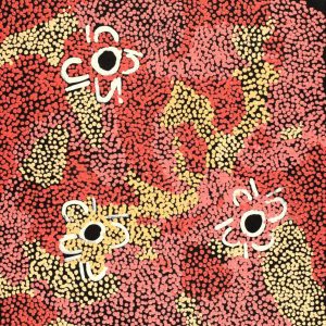 Karnta Jukurrpa (Womens Dreaming) by Selina Nakamarra Gorey