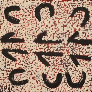 Marlu Jukurrpa (Red Kangaroo Dreaming) Yarnardilyi & Jurnti by Warlukurlangu Artists