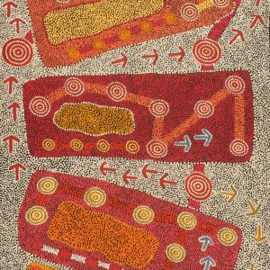 Yankirri Jukurrpa (Emu Dreaming) - Ngarlikirlangu by Michael Japaljarri Wayne